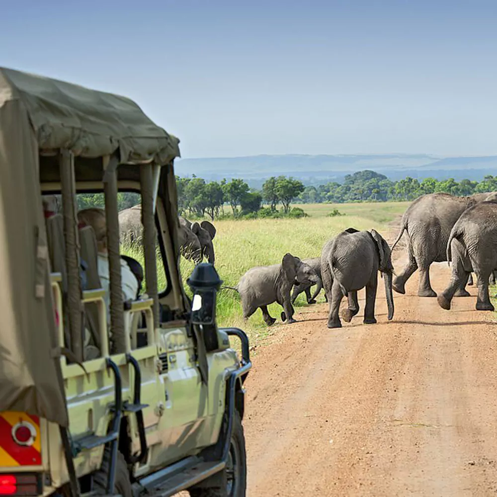 wildlife safaris uganda